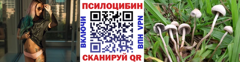 Галлюциногенные грибы GOLDEN TEACHER  наркошоп  Калязин 